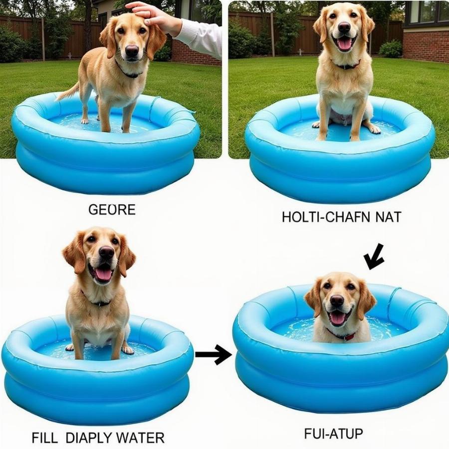 Setting Up an Inflatable Dog Pool in a Backyard