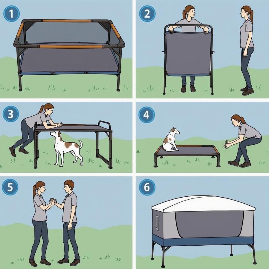 Setting Up a Coleman Dog Cot