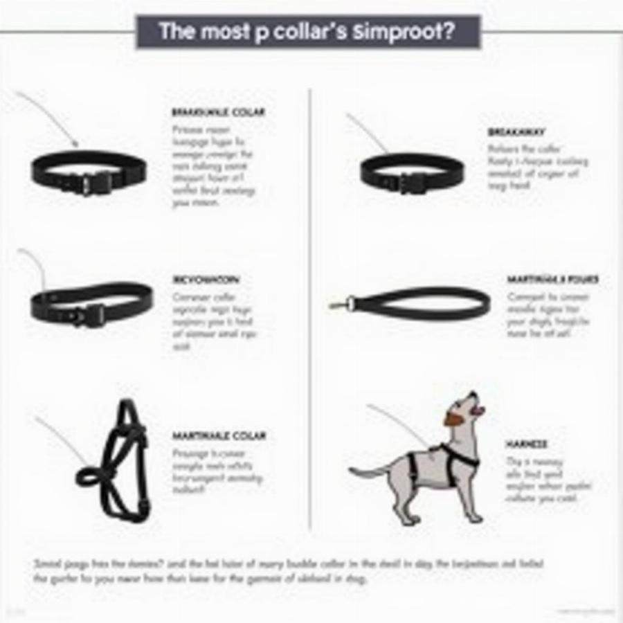 Different Collar Types for Small Dogs