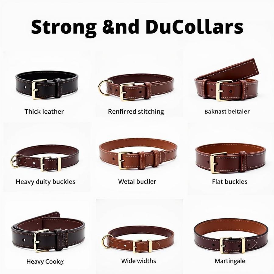 Strong and Durable Collars for Big Boy Dogs