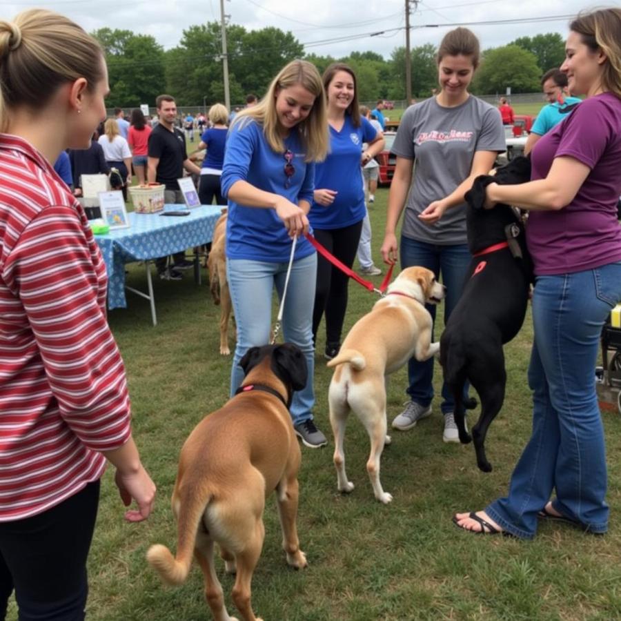 Dog adoption event in Sturgeon, Missouri