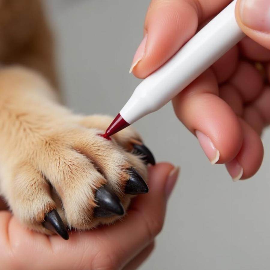 Applying a Styptic Pencil to a Dog's Nail