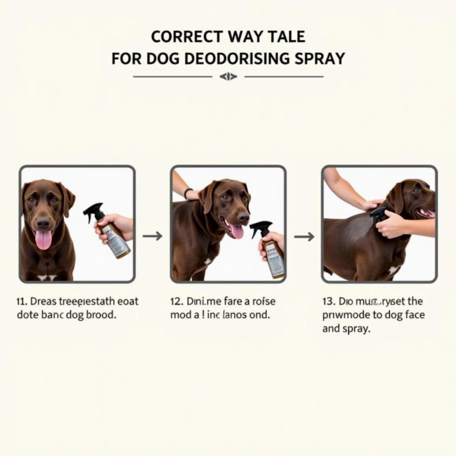 Using Dog Deodorising Spray Correctly