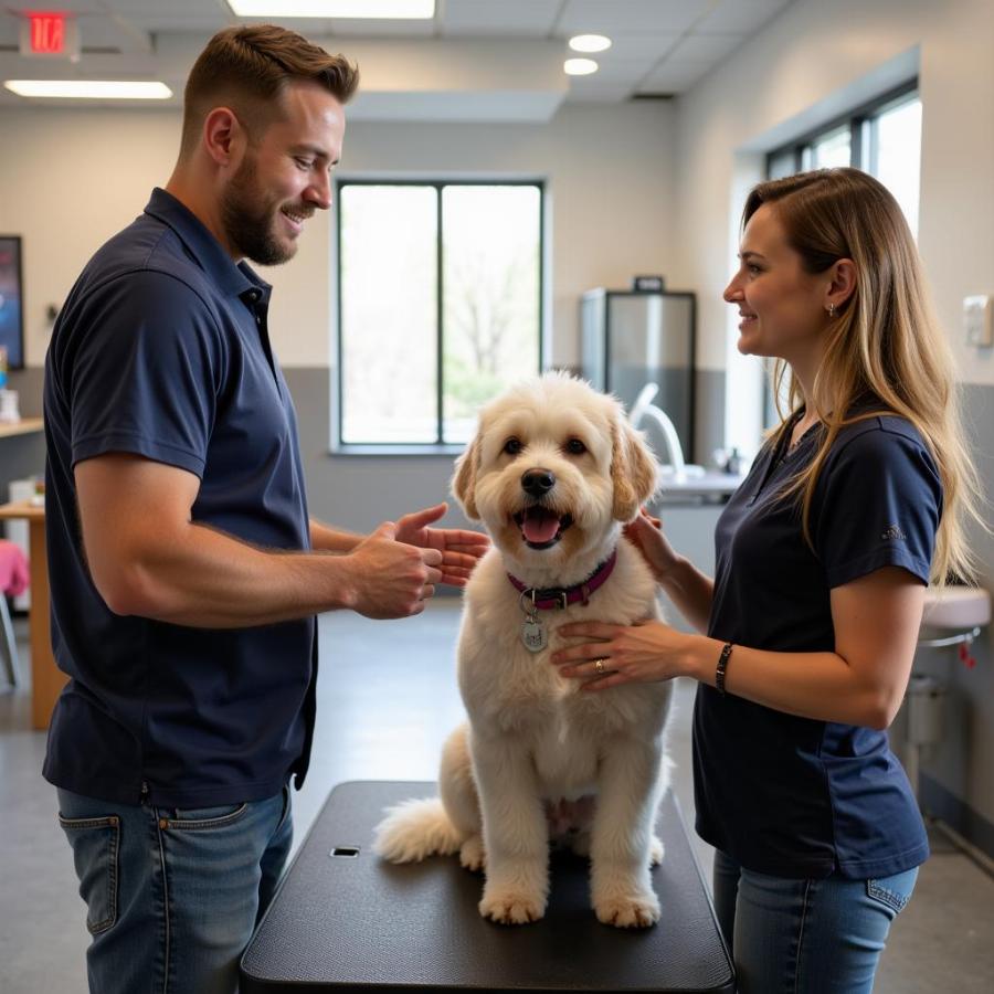 Visiting a Dog Grooming Salon in Canton, Ohio