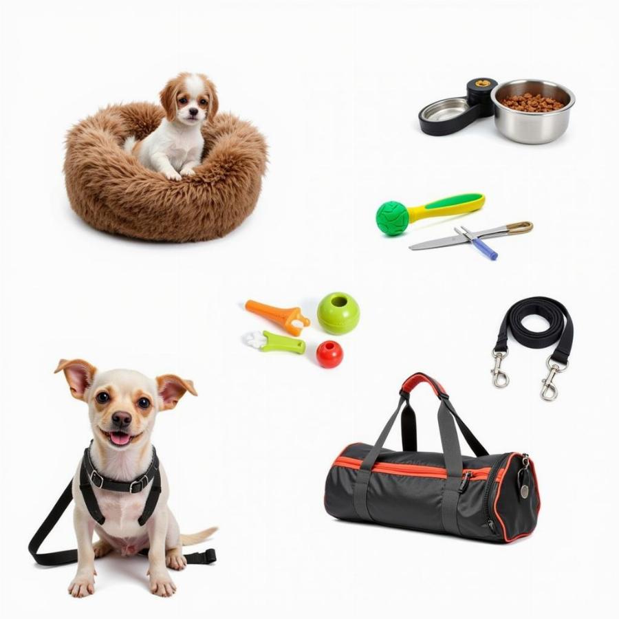 Essential Care Items for Tiny Dogs