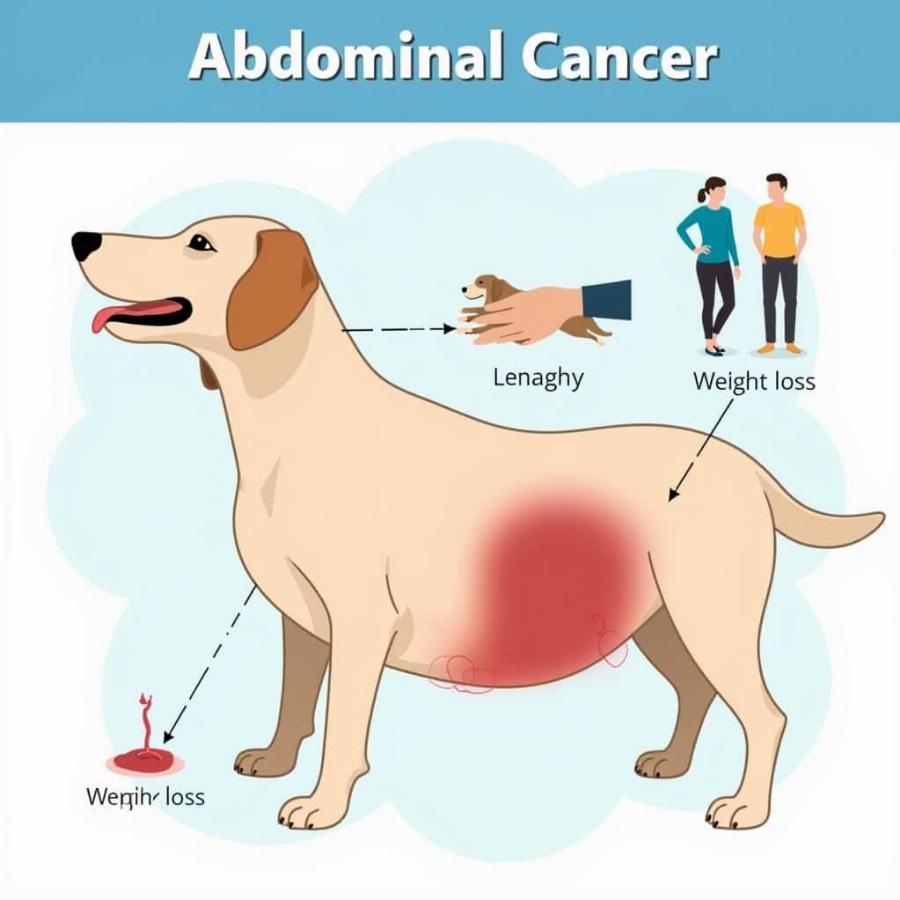 Dog Abdominal Cancer Symptoms