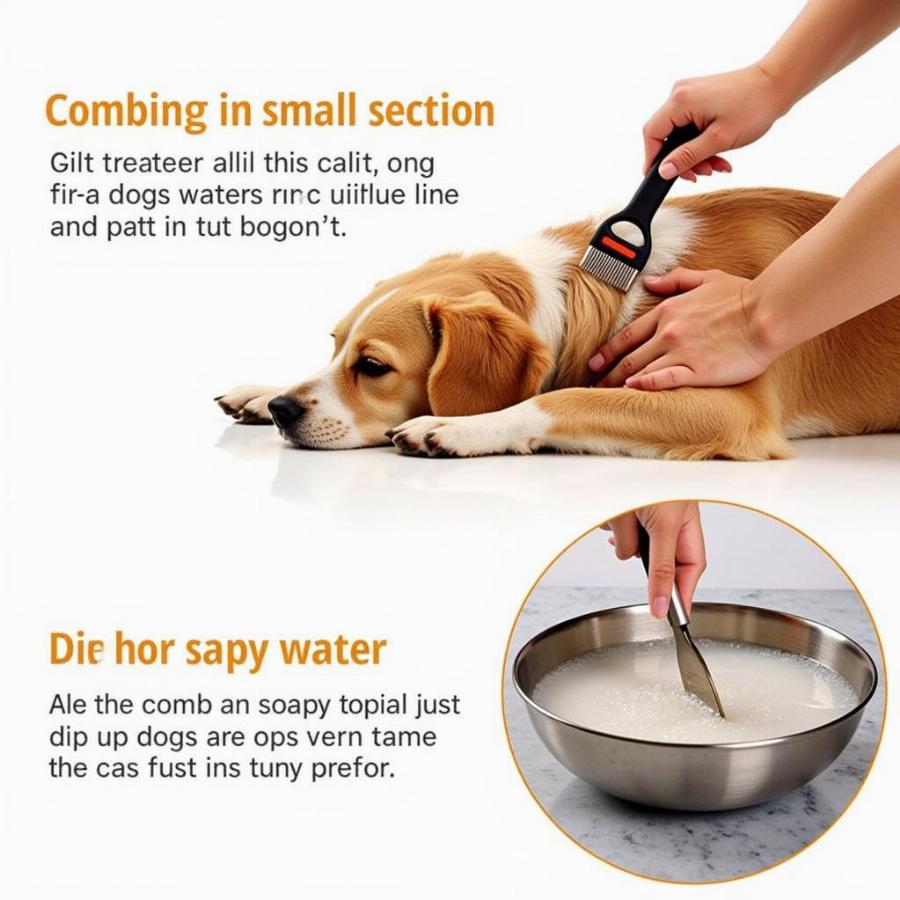 Using a flea comb on a dog to remove fleas