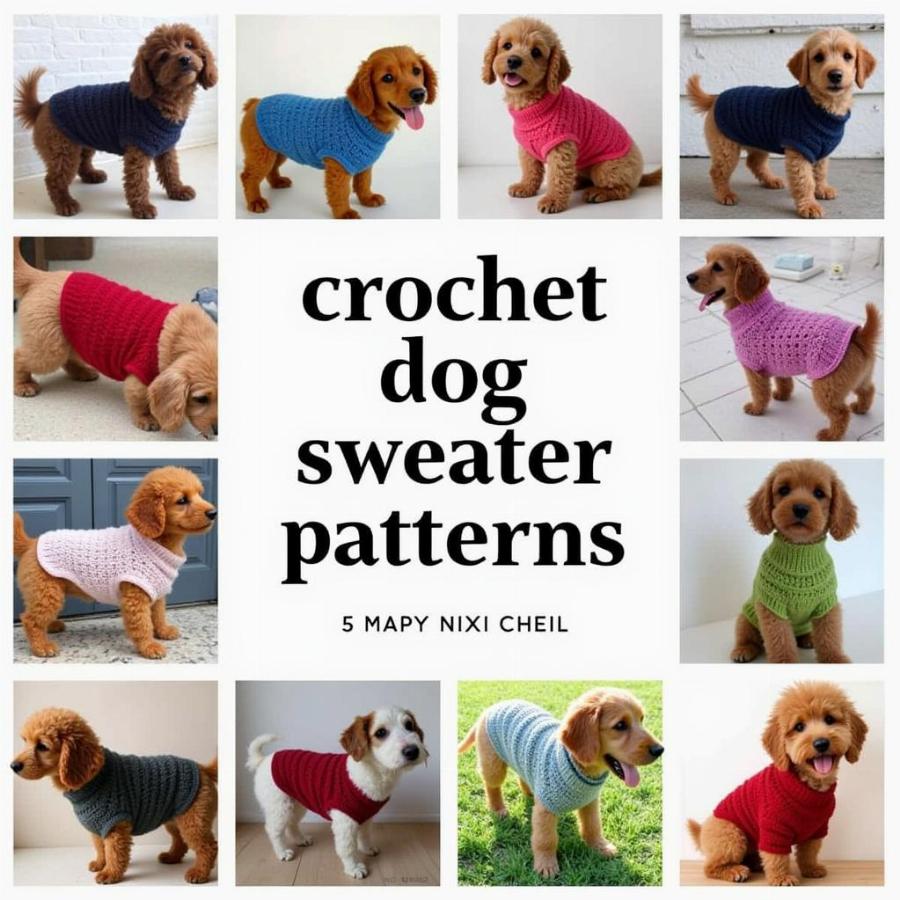 Different Crochet Dog Sweater Patterns