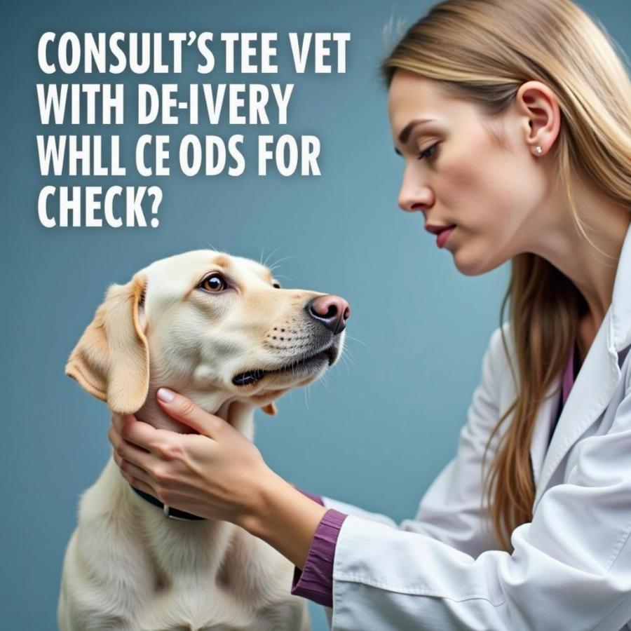 Veterinarian Examining a Dog