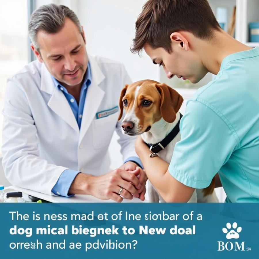 Veterinary Examination of Anal Tumor in Dog