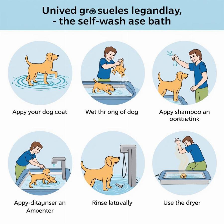 Steps for Washing your Dog at Home