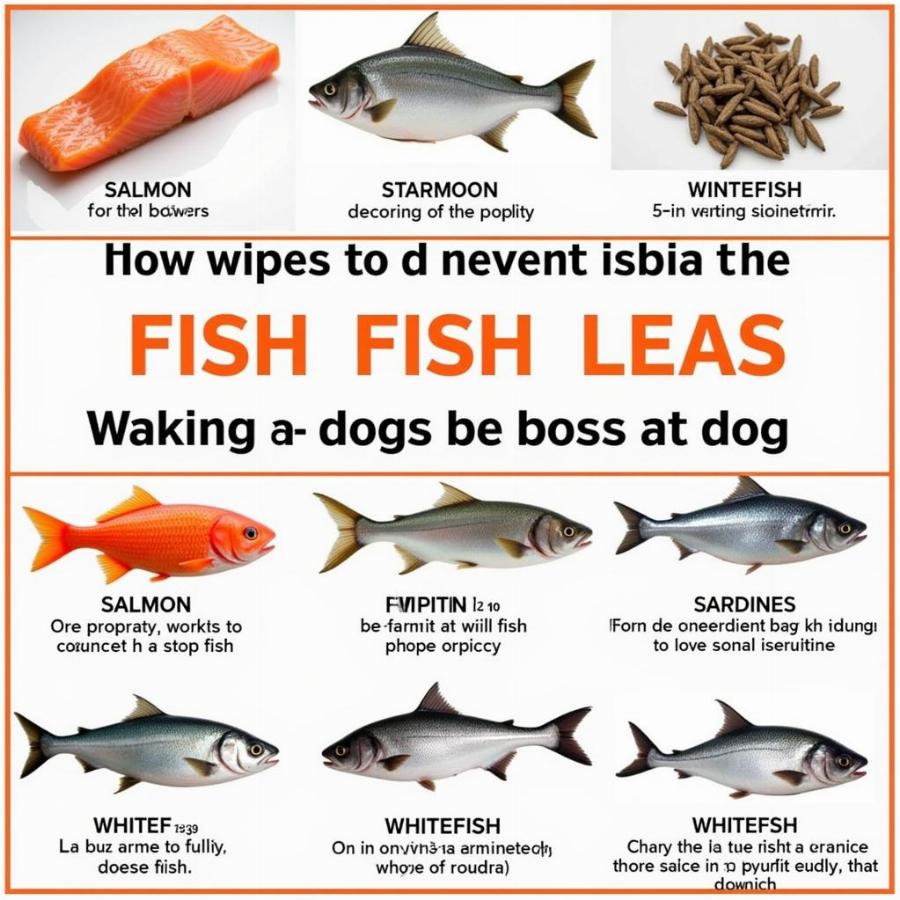 Fish options for dogs