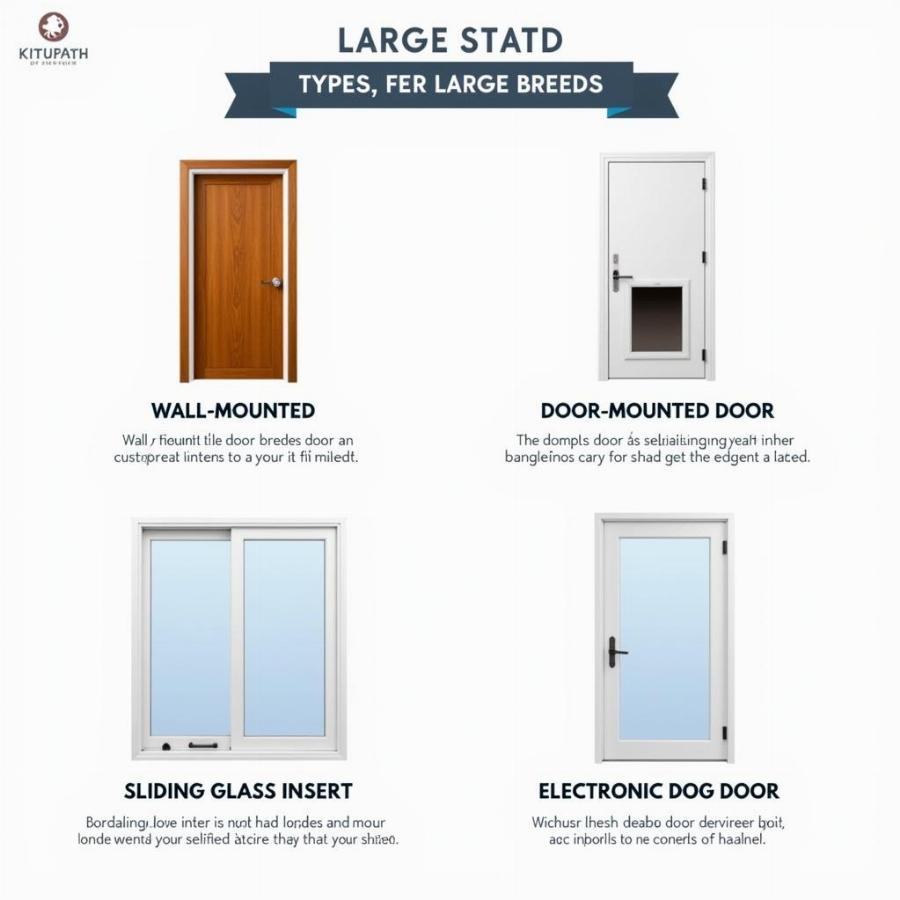 Different Types of Dog Doors for Large Dogs