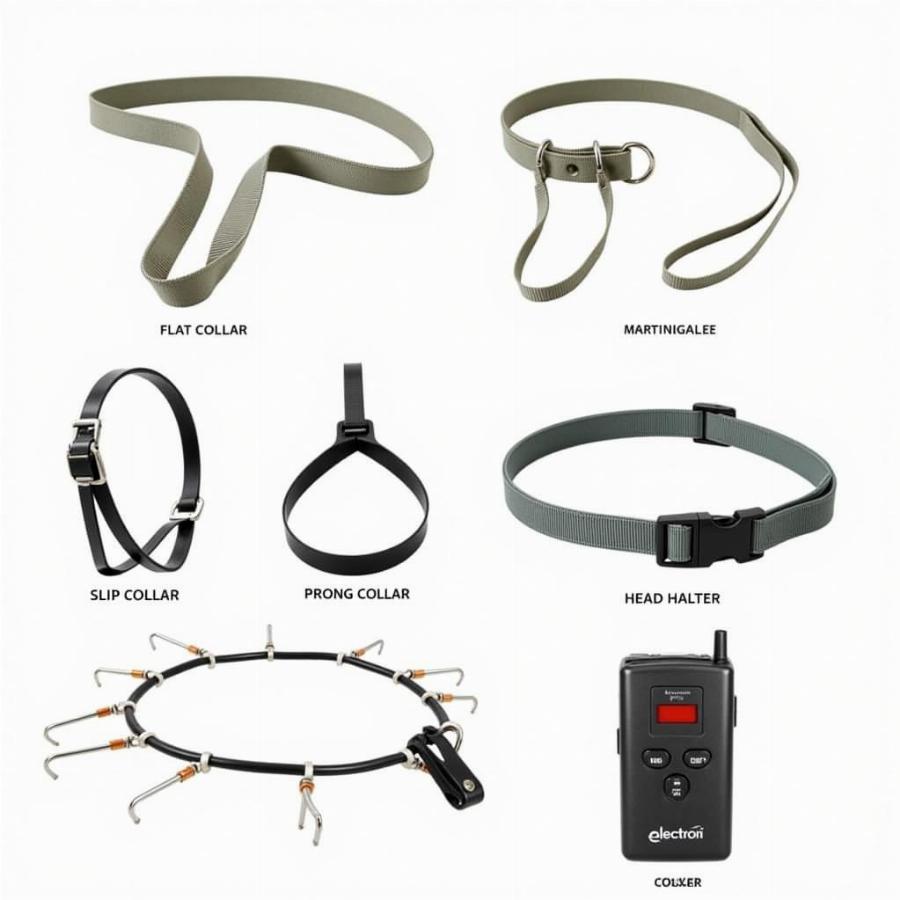 Different Types of Dog Training Collars