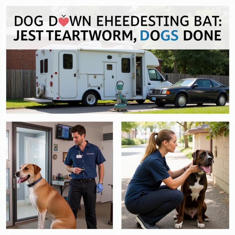 Places to get a heartworm test for dogs