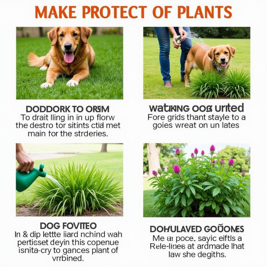 How to protect plants from dog urine