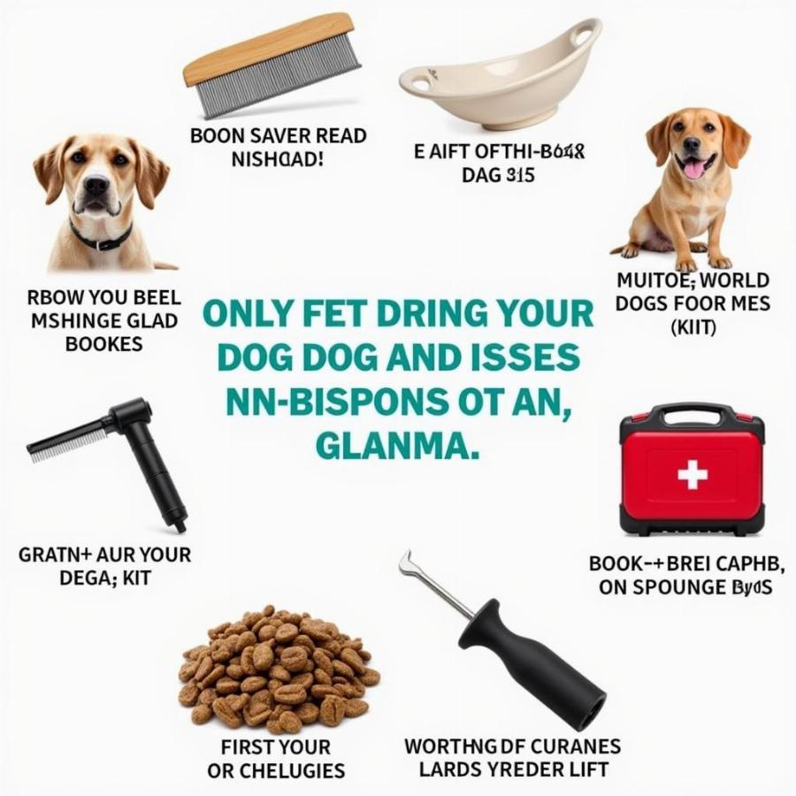 Dog care tips