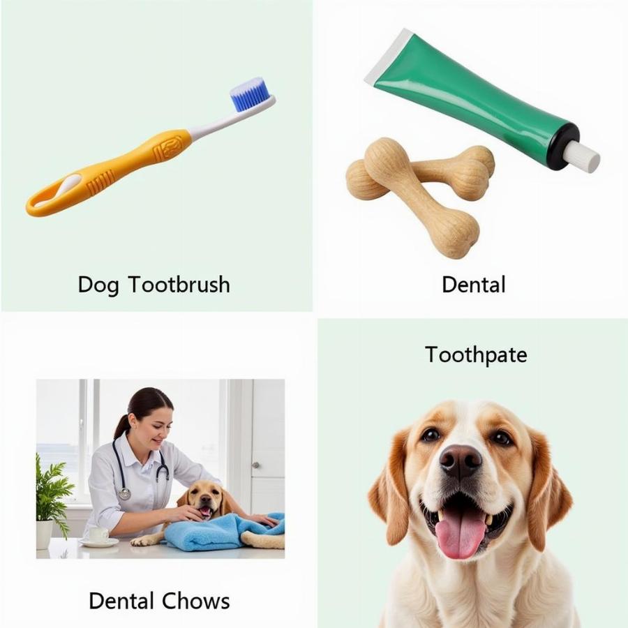 Dog Dental Care Essentials: Brushing, Chews, and Vet Visits