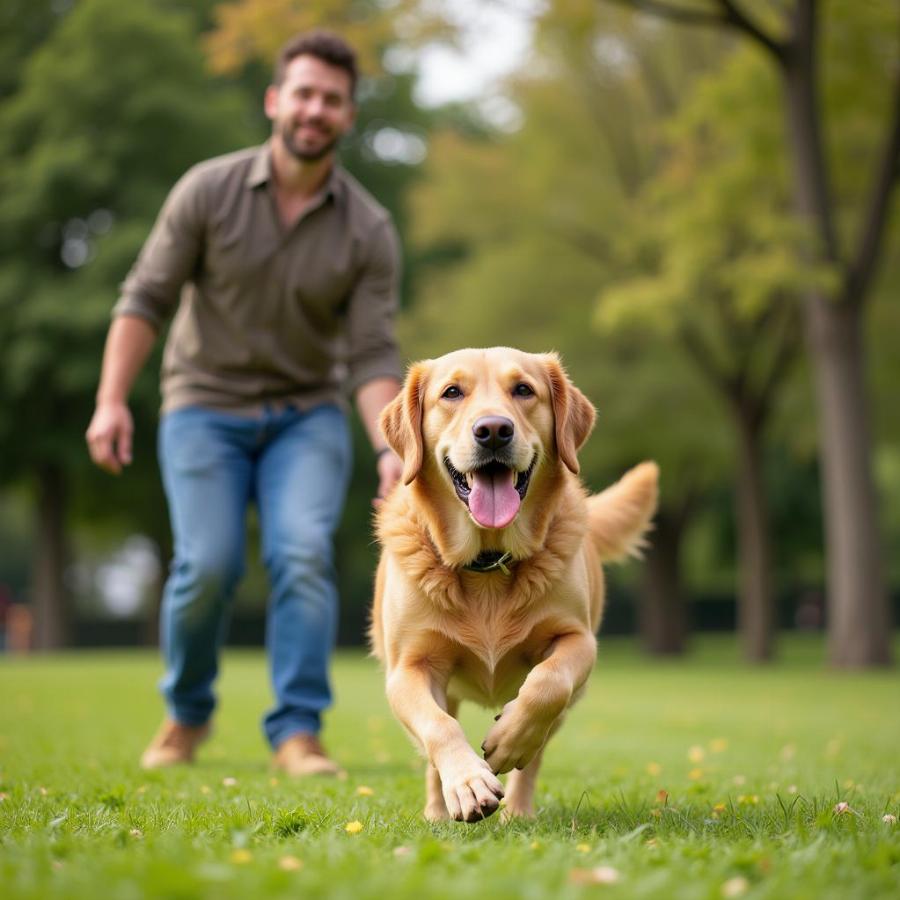 Dog Playing with its Owner