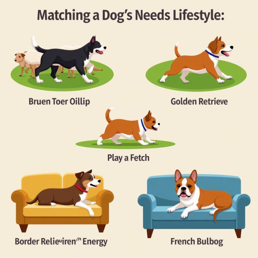 Choosing the Right Dog Breed for Your Lifestyle