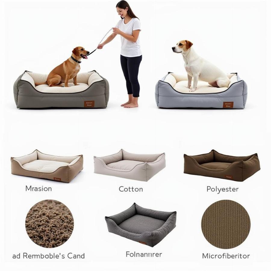 Choosing the right dog bed with a removable washable cover