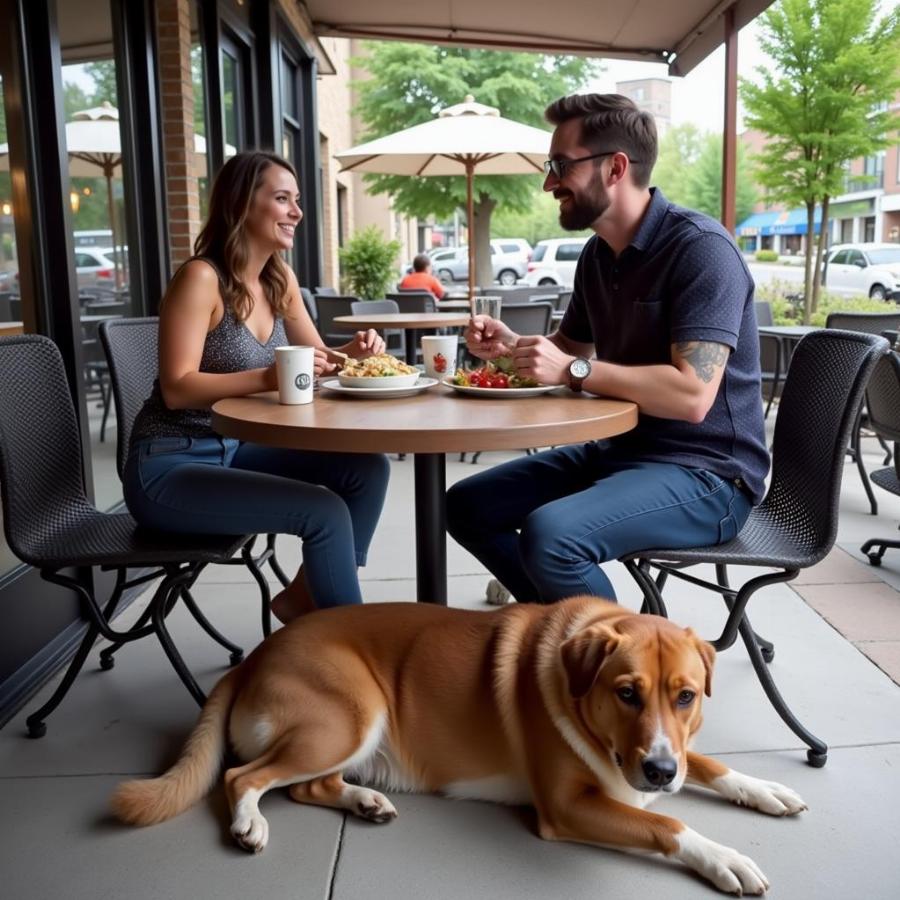 Dog and owner at a dog-friendly restaurant