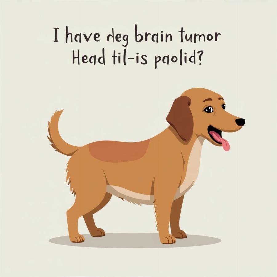 Signs of a brain tumor in dogs