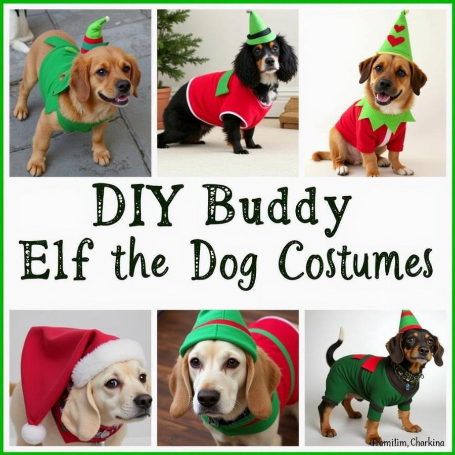 DIY Buddy the Elf Dog Costume Ideas