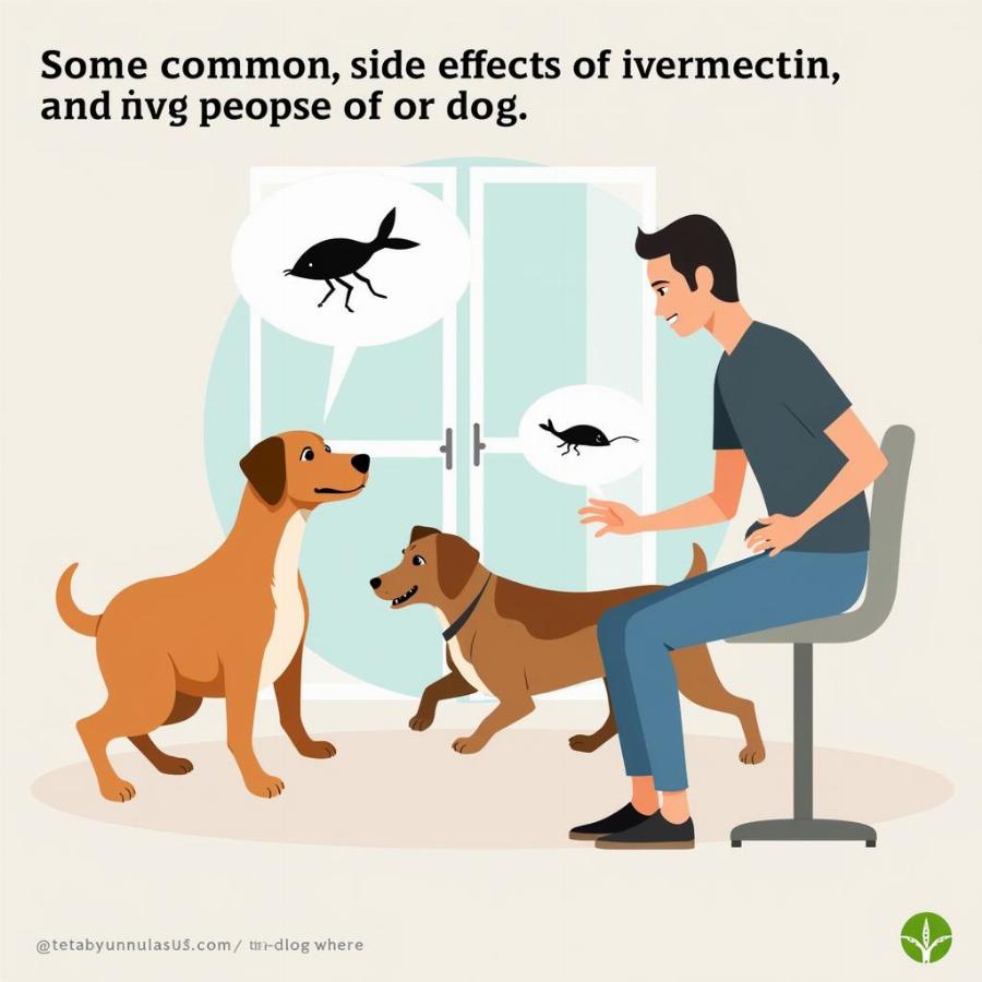 Dog Experiencing Ivermectin Side Effects