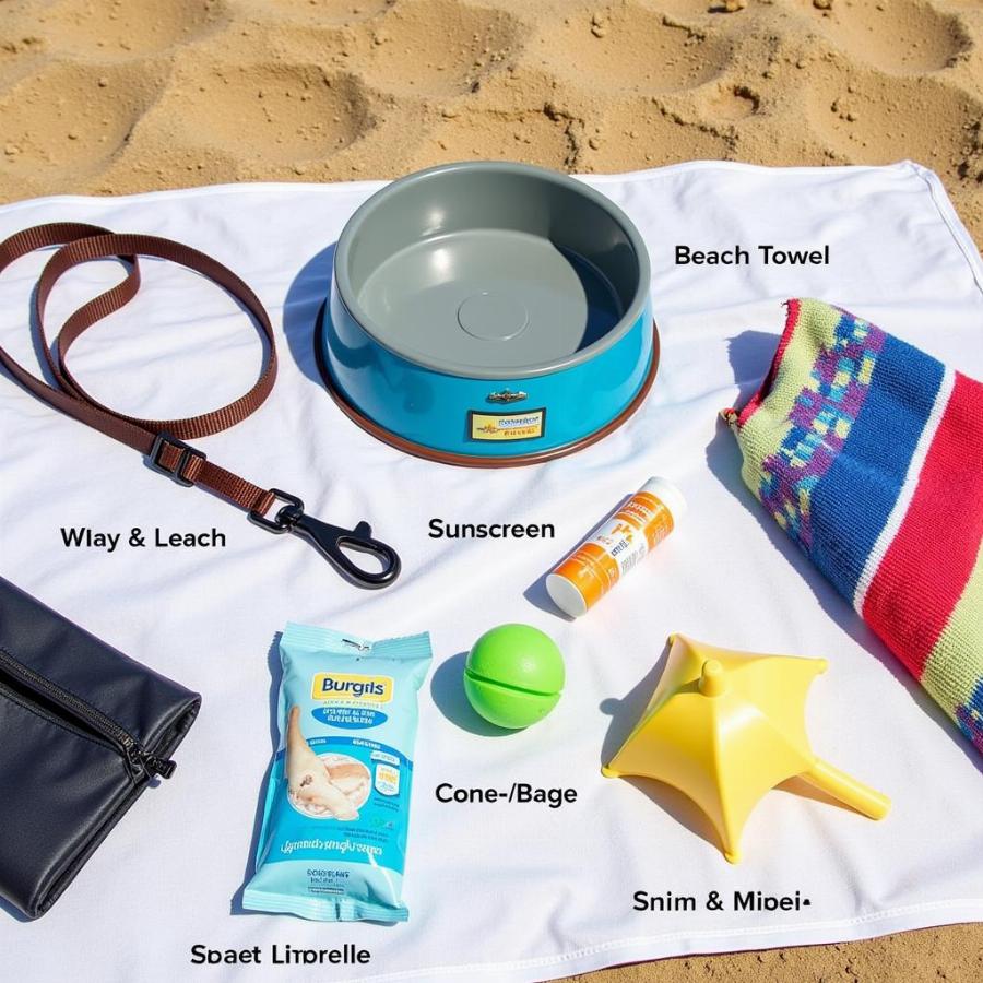 Essential Dog Beach Gear