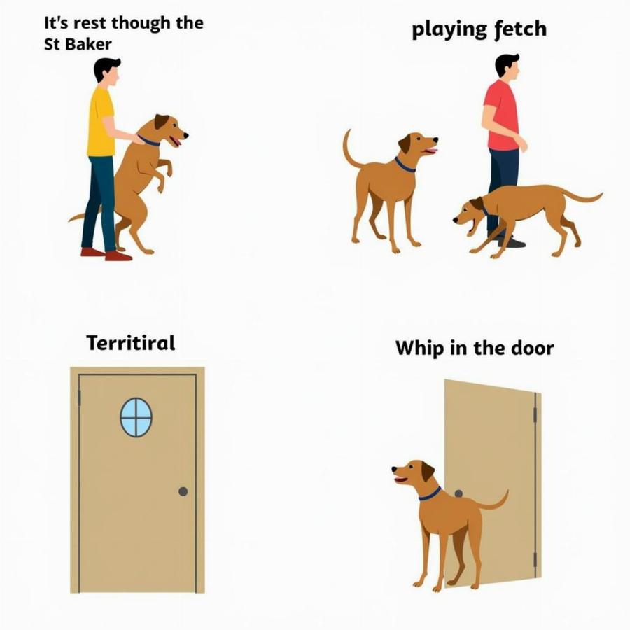 Decoding Dog Barks