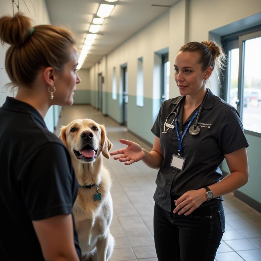 Asking Questions About Dog Boarding in Athens