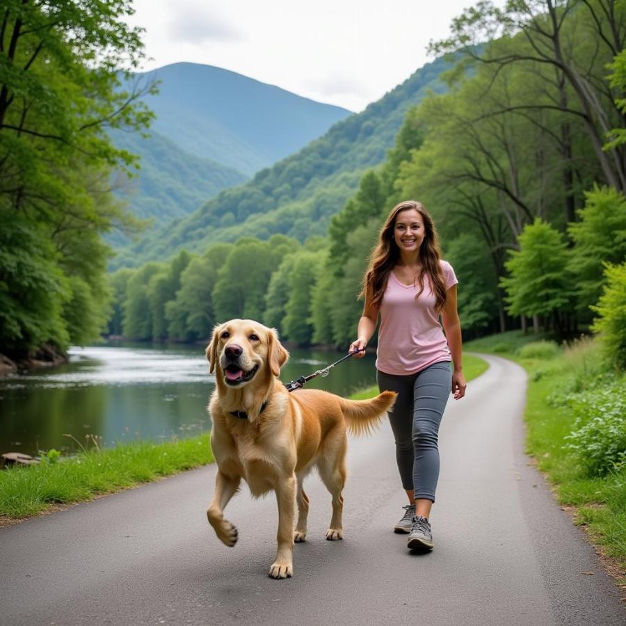 Exploring Dog-Friendly Trails in Gatlinburg