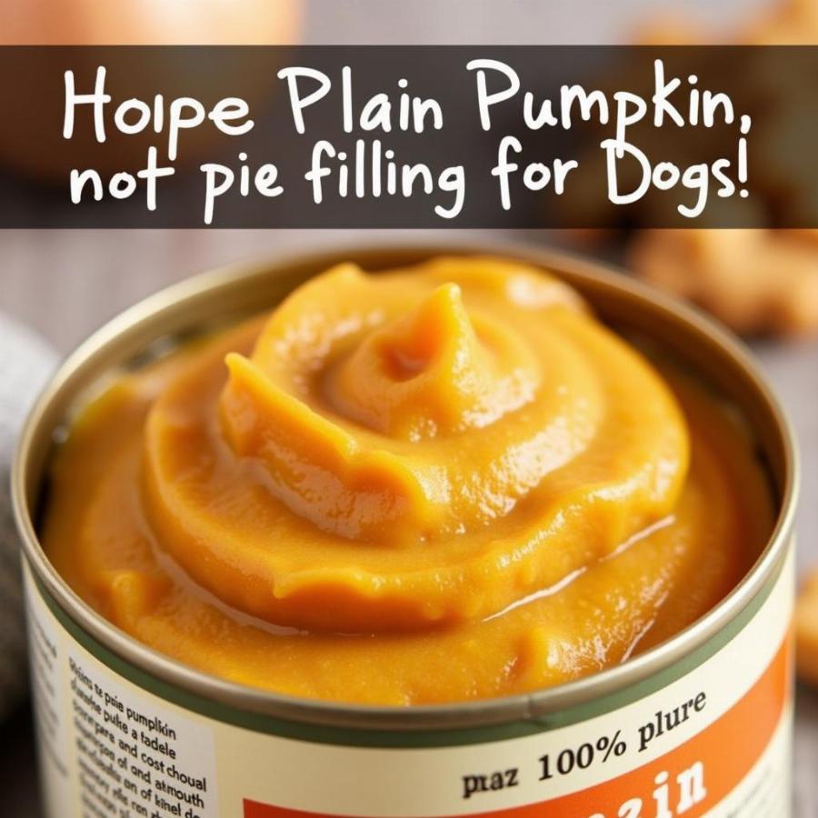 Can of pumpkin for dog