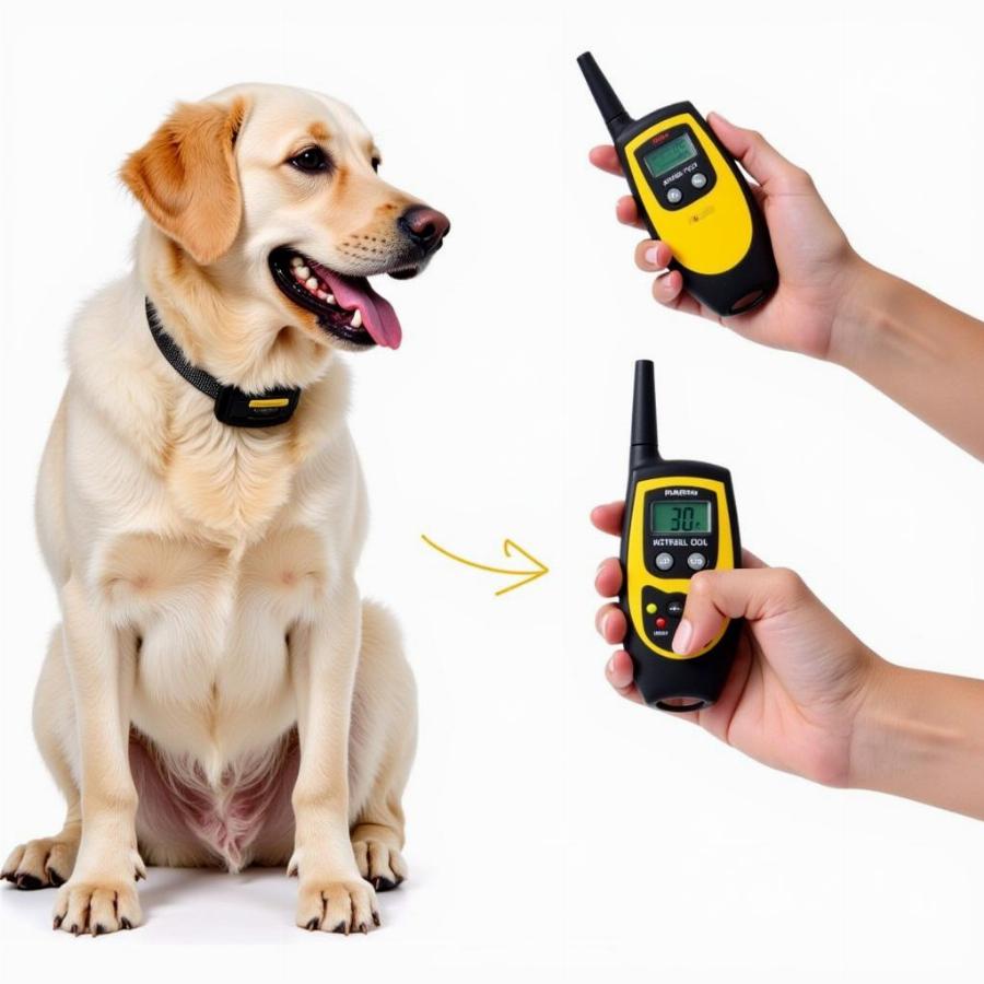 Remote Controlled Dog Shock Collar