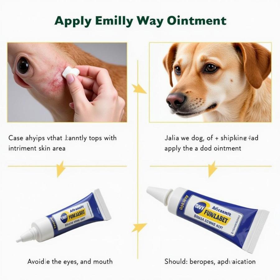 Understanding 3-Way Ointment for Dogs