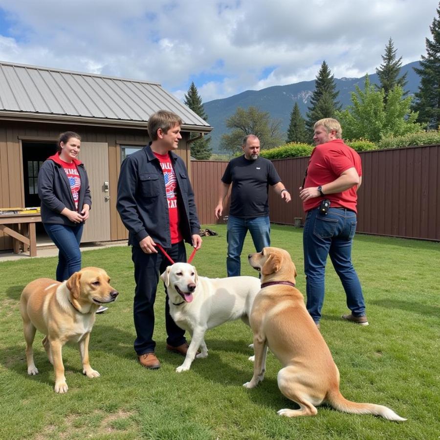 Coeur d'Alene Dog Boarding Tour