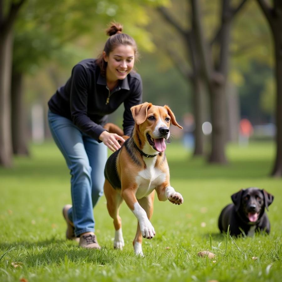 Hound Dog Tablature: A Deep Dive for Dog Lovers