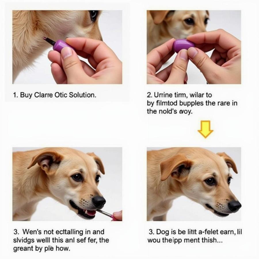 Using Claro Otic Solution for Dogs