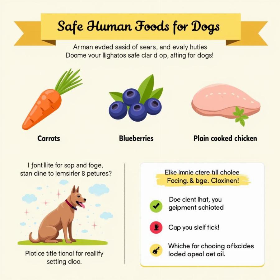 Safe Human Foods for Dogs